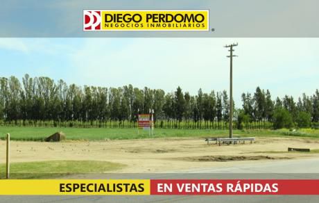 Campo En Venta En San José