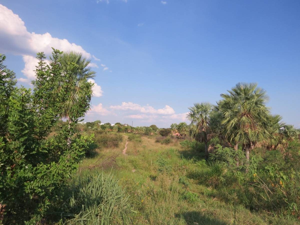 ¡Gran oportunidad de inversión en Limpio – Zona Costa Azul! — foto 3
