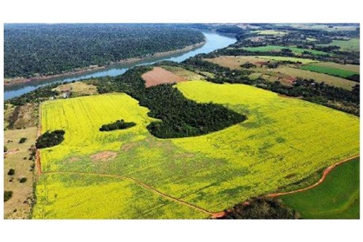 Vendo Imponente Terreno en Presidente Franco, Paraguay — foto 3