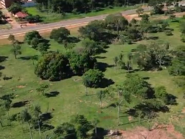 4 Hectareas En Horqueta - Concepcion — foto 3