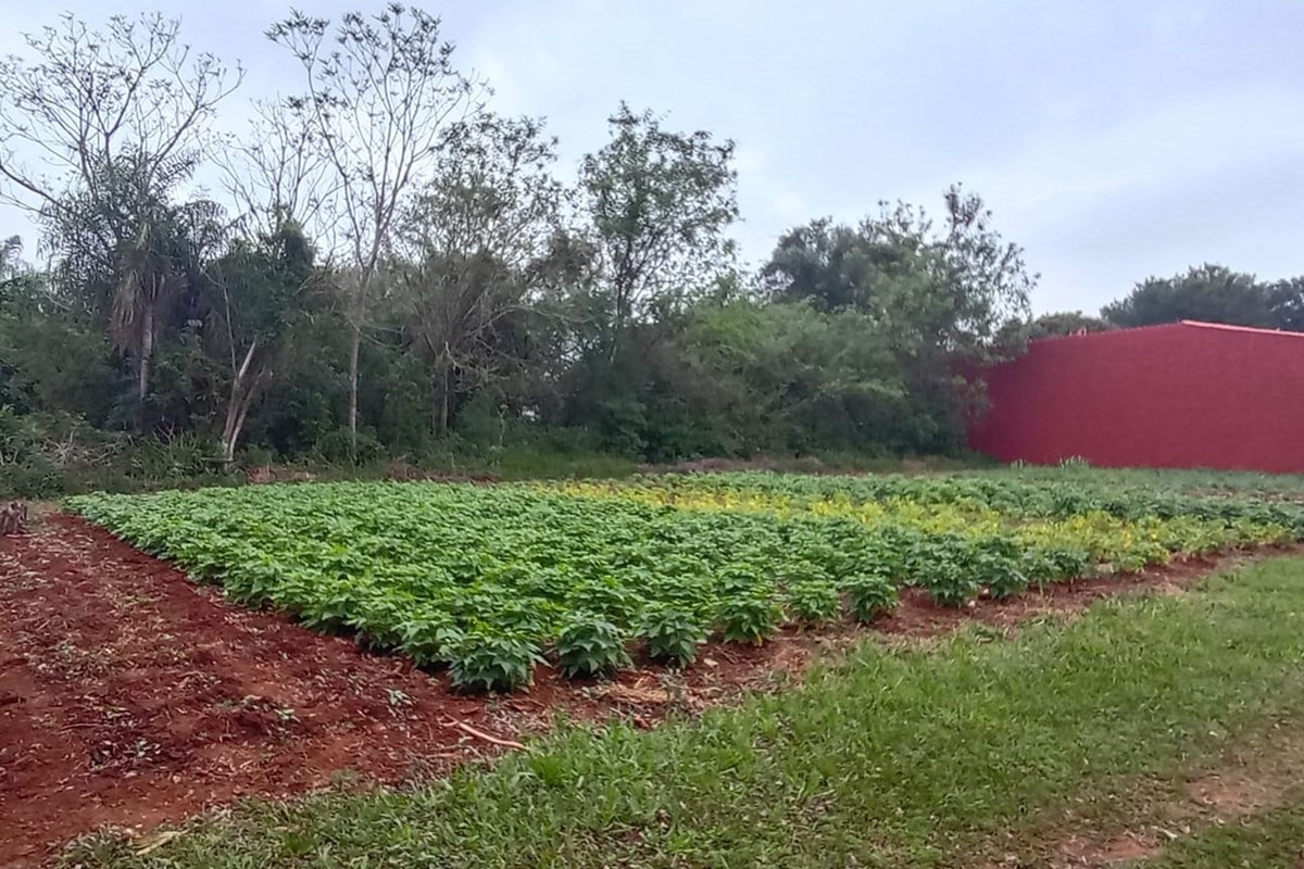 Terreno-Venta-colonia pira reta, Piribebuy, Cordillera — foto 2