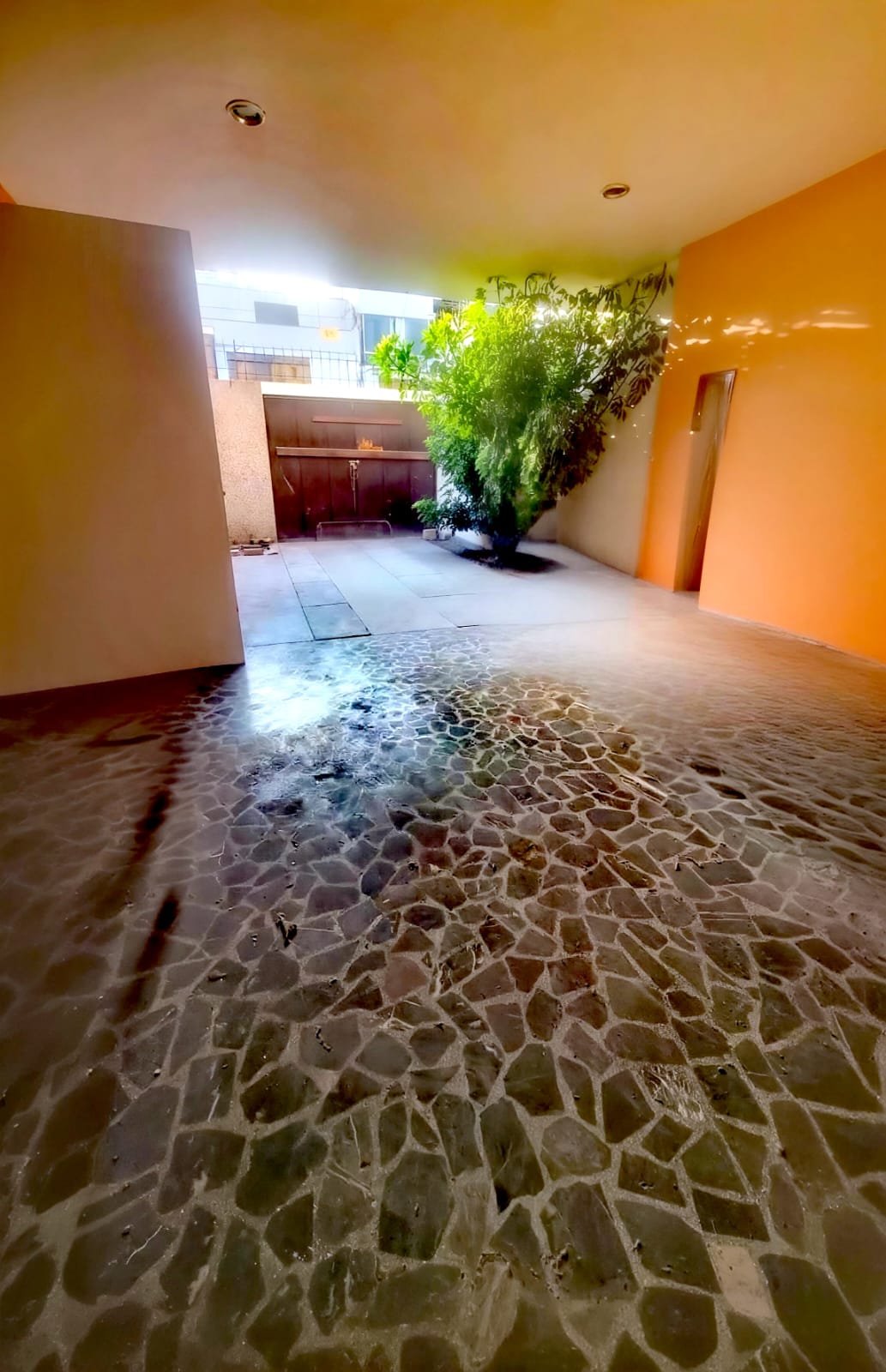 Imagen 7 de Casa