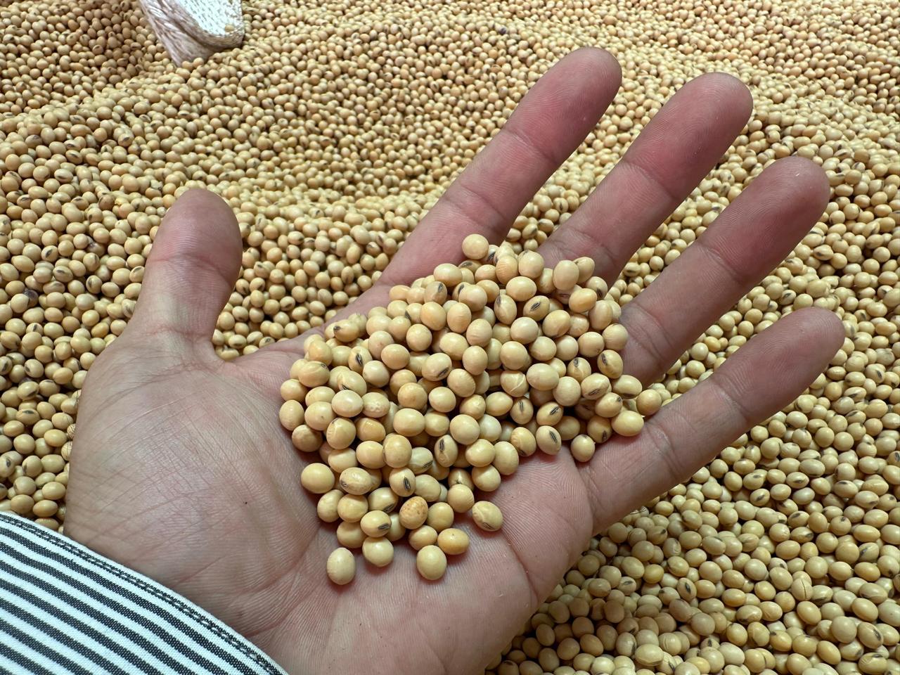 Campo en venta en San Estanislao — foto 2