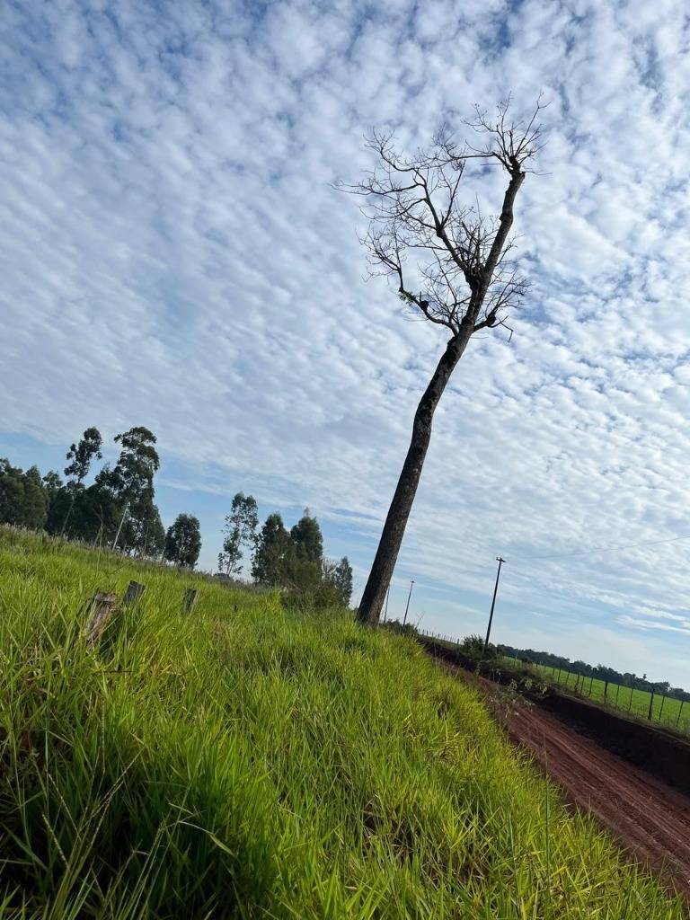 En Venta Amplia Propiedad Rural En Ciudad Del Este Alto Parana — foto 2
