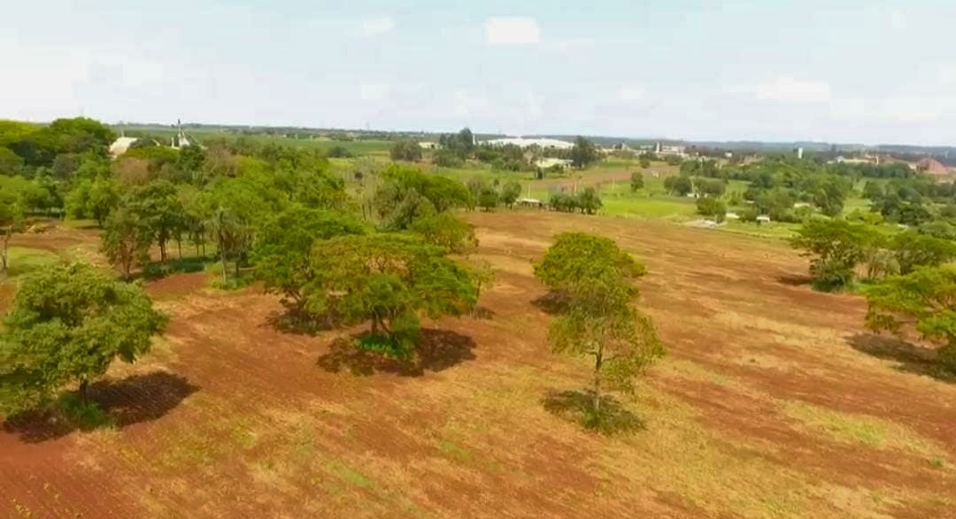 VENDO TERRENO EN MINGA GUAZU — foto 2