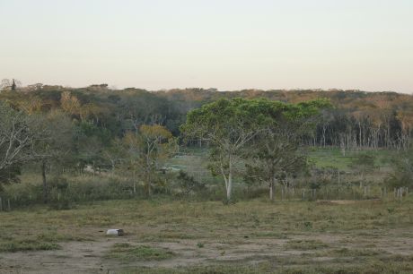 San Ignacio De Velasco (3610 Has.)