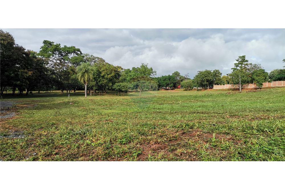 Terreno en venta en Villa Elisa — foto 3