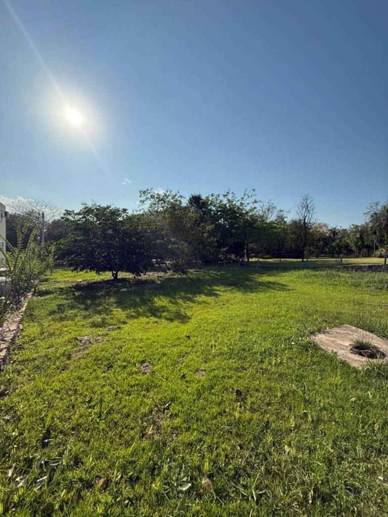 VENDO TERRENO EN SAN BERNARDINO — foto 3