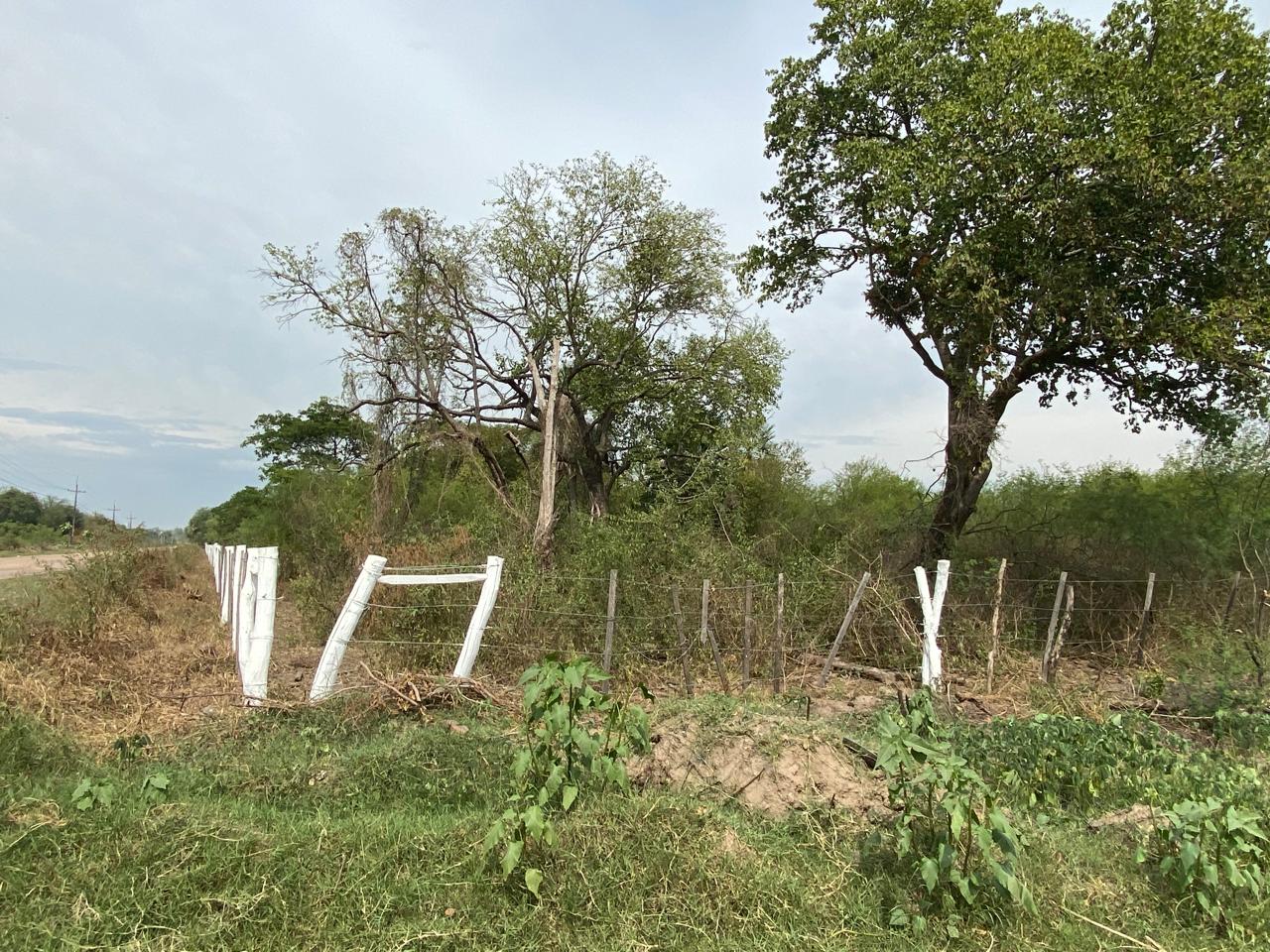 TERRENO DE 41.448M2 EN NUEVA ASUNCIÓN — foto 2