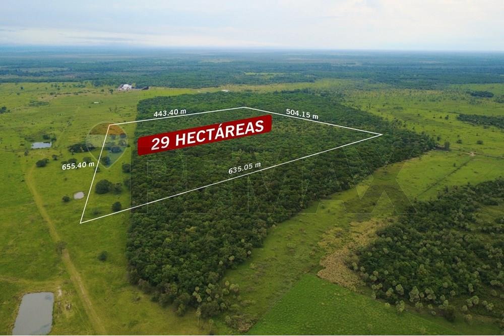 Vendo 29 ha a 10 min del Centro de Villa Hayes — foto 2