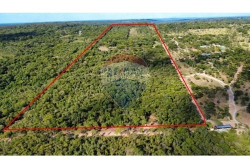 Vendo Terreno En San Bernardino Cordillera — foto 3