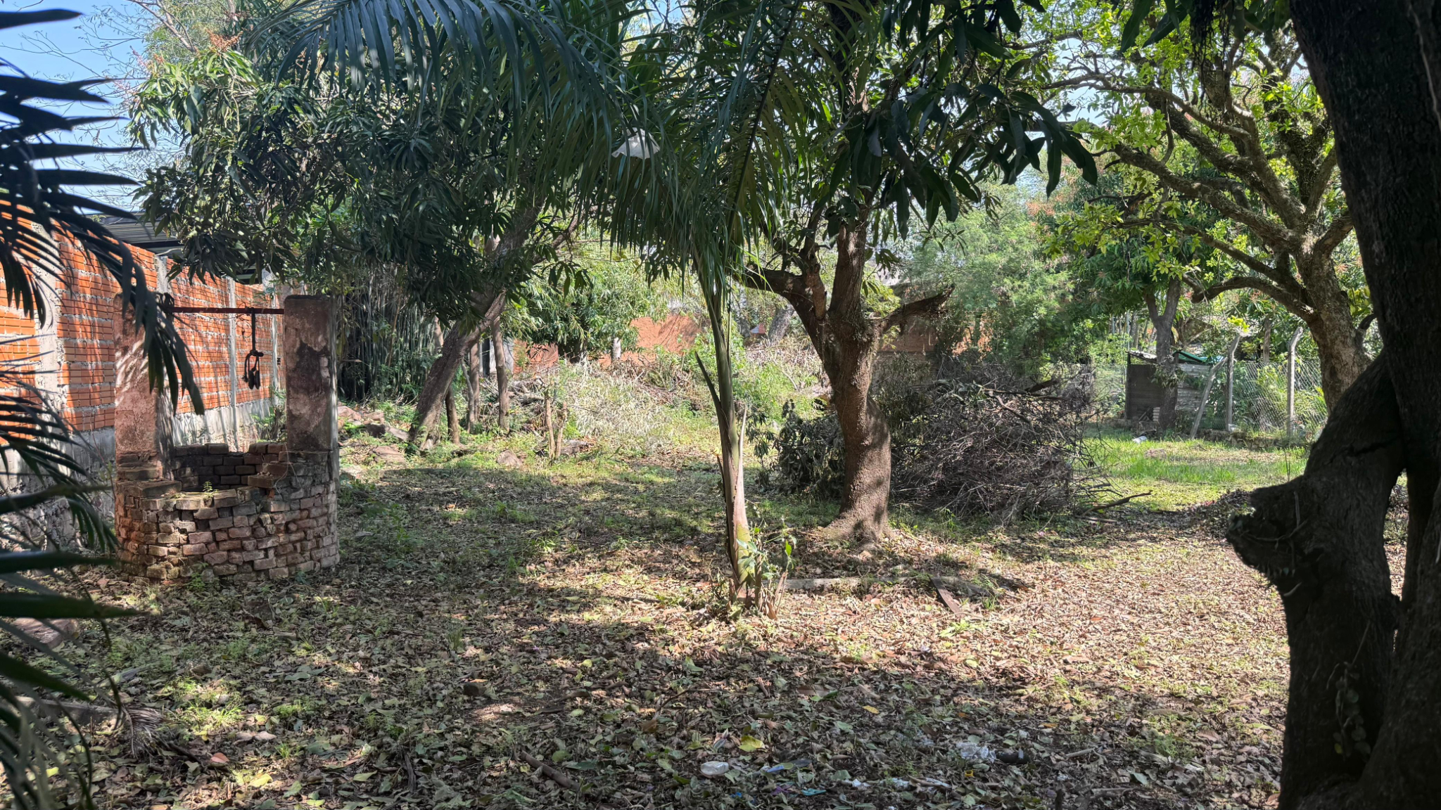VENDO TERRENO DE 1182 M2 EN LA ENTRADA DE PALMA LOMA - LUQUE — foto 3