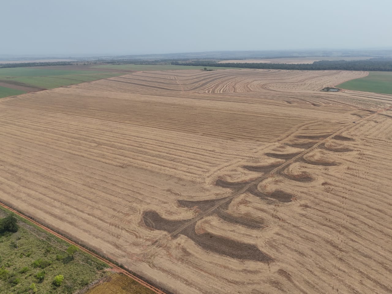 VENDO 1.030 HAS EN SAN PEDRO — foto 3