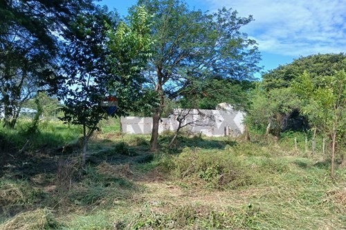 Terreno-Venta-PY Cordillera San Bernardino  San Cristobal — foto 2