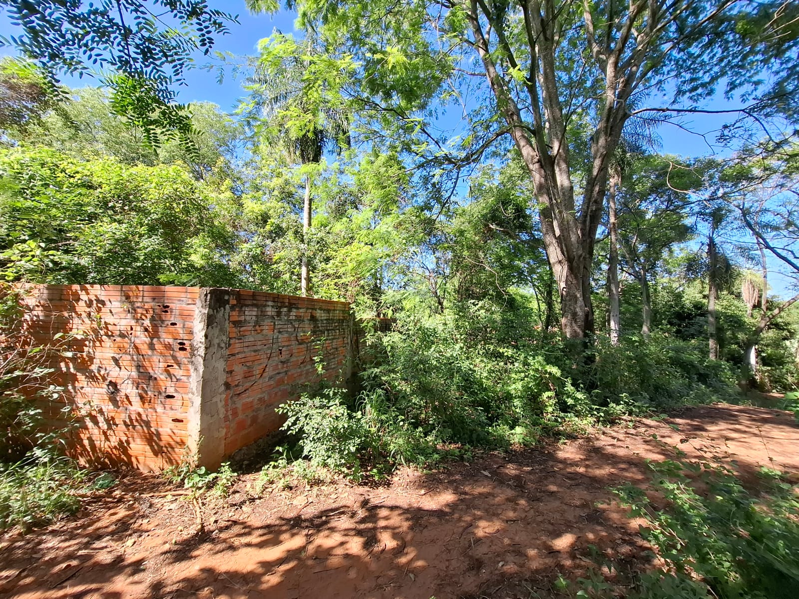 TERRENO LIMPIO — foto 3