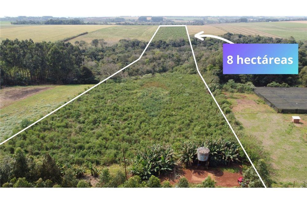 Propiedad de 8 hectareas mecanizadas en Natalio — foto 3