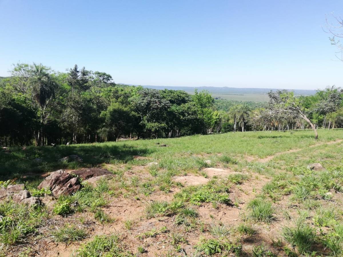 VENDO TERRENO EN SAN BERNARDINO — foto 2
