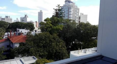 Ideal Inversores. Magnifico Apartamento Con Renta