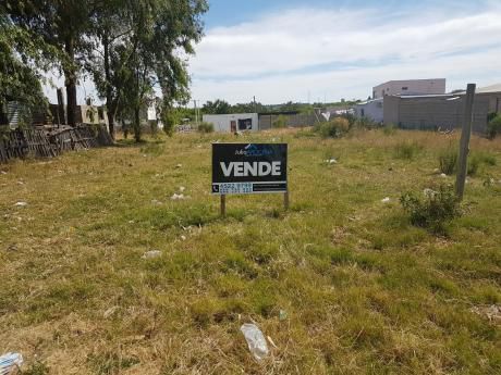 Venta De 2 Terrenos En Fracc.cataldo