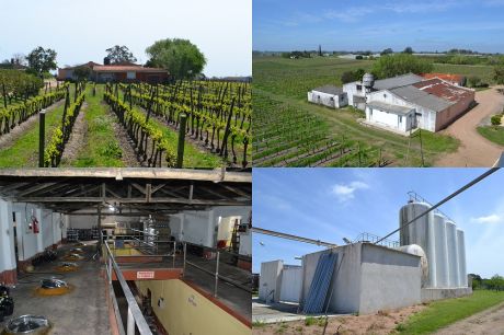 Vendo Bodega Funcionando En Montevideo