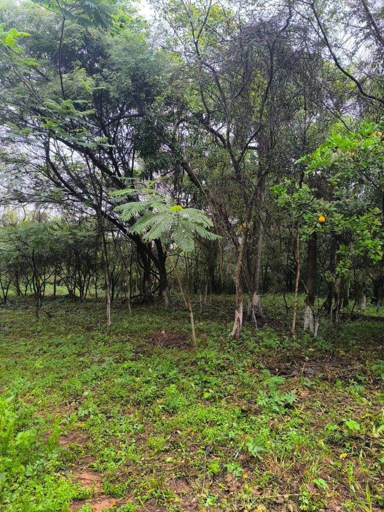 Venta de Terreno en Altos — foto 2