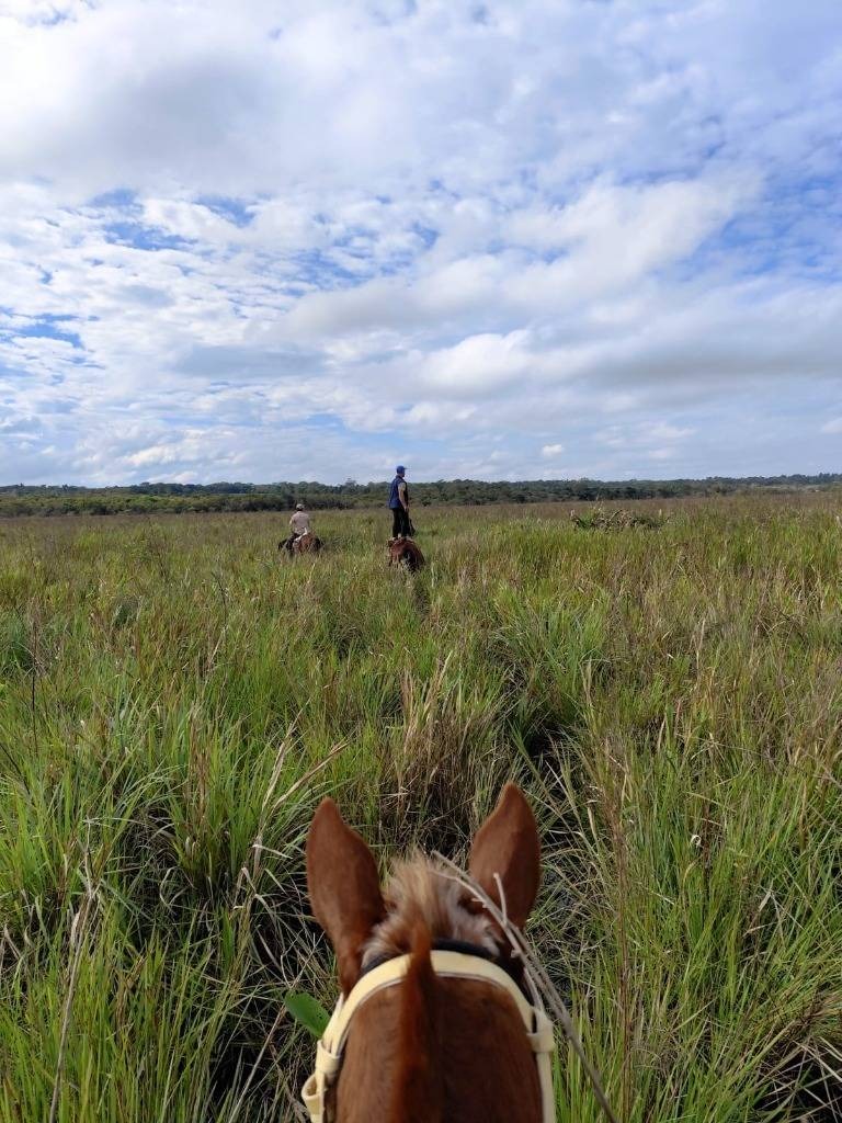 VENDO 13HAS DE CAMPO EN ACAHAY — foto 2