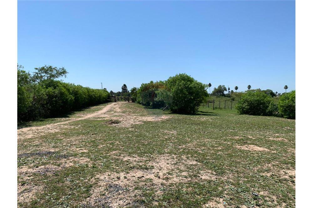 Estancia/Campo - Venta - Paraguay Presidente Hayes Benjamín Aceval — foto 3