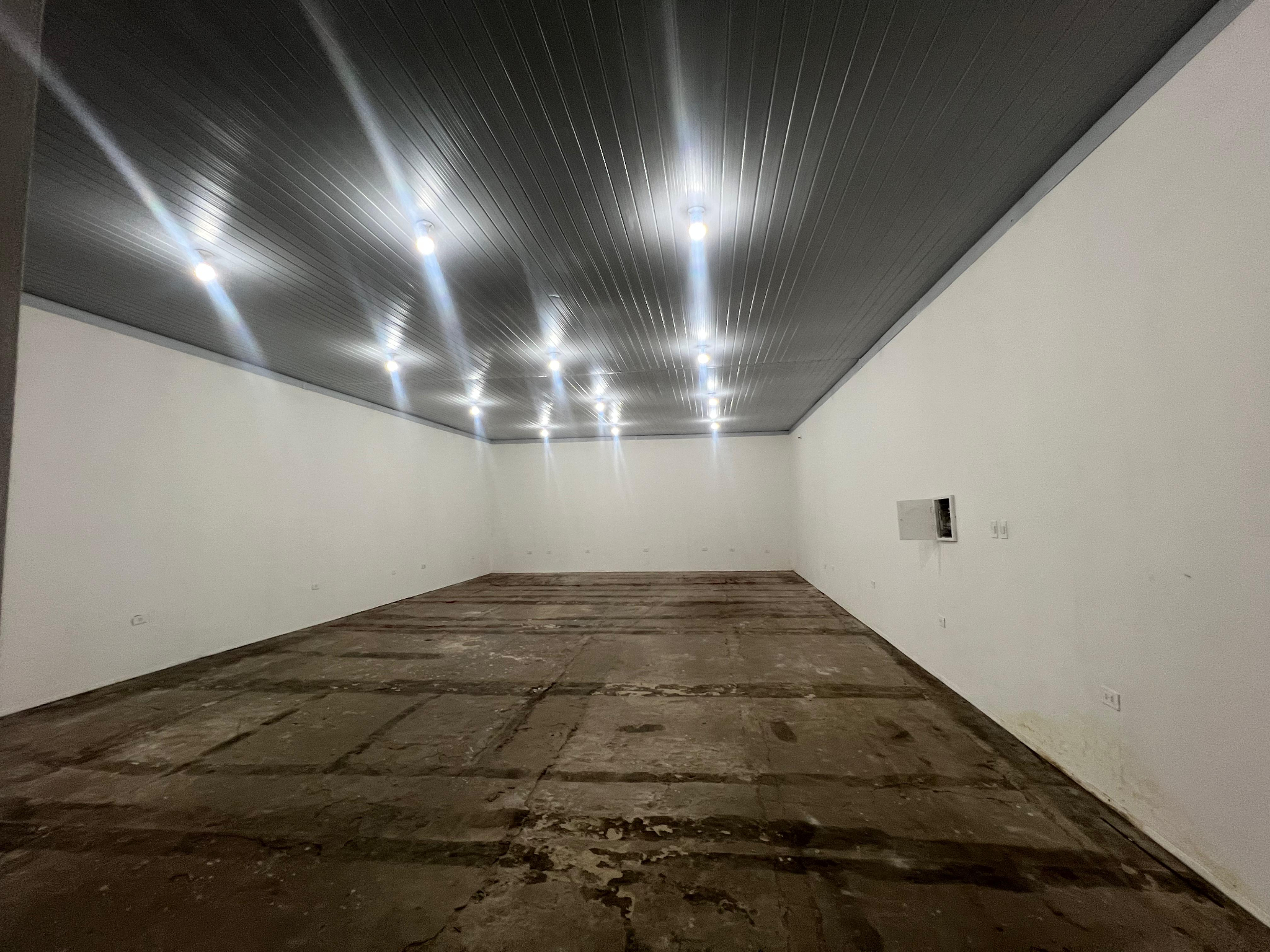 ALQUILO LOCAL COMERCIAL S/EUSEBIO AYALA — foto 2