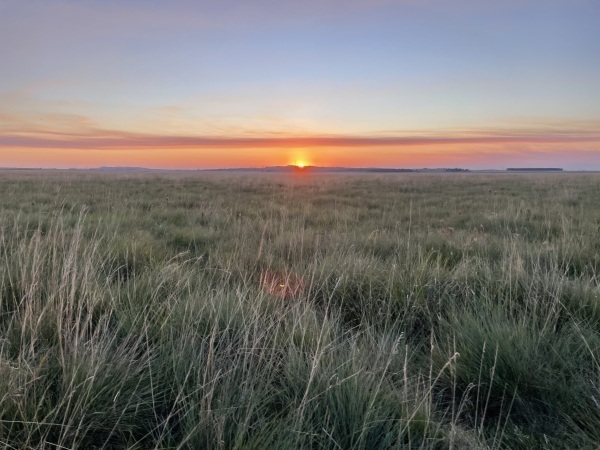 GRAN ESTANCIA EN VENTA – MISIONES, PARAGUAY — foto 2