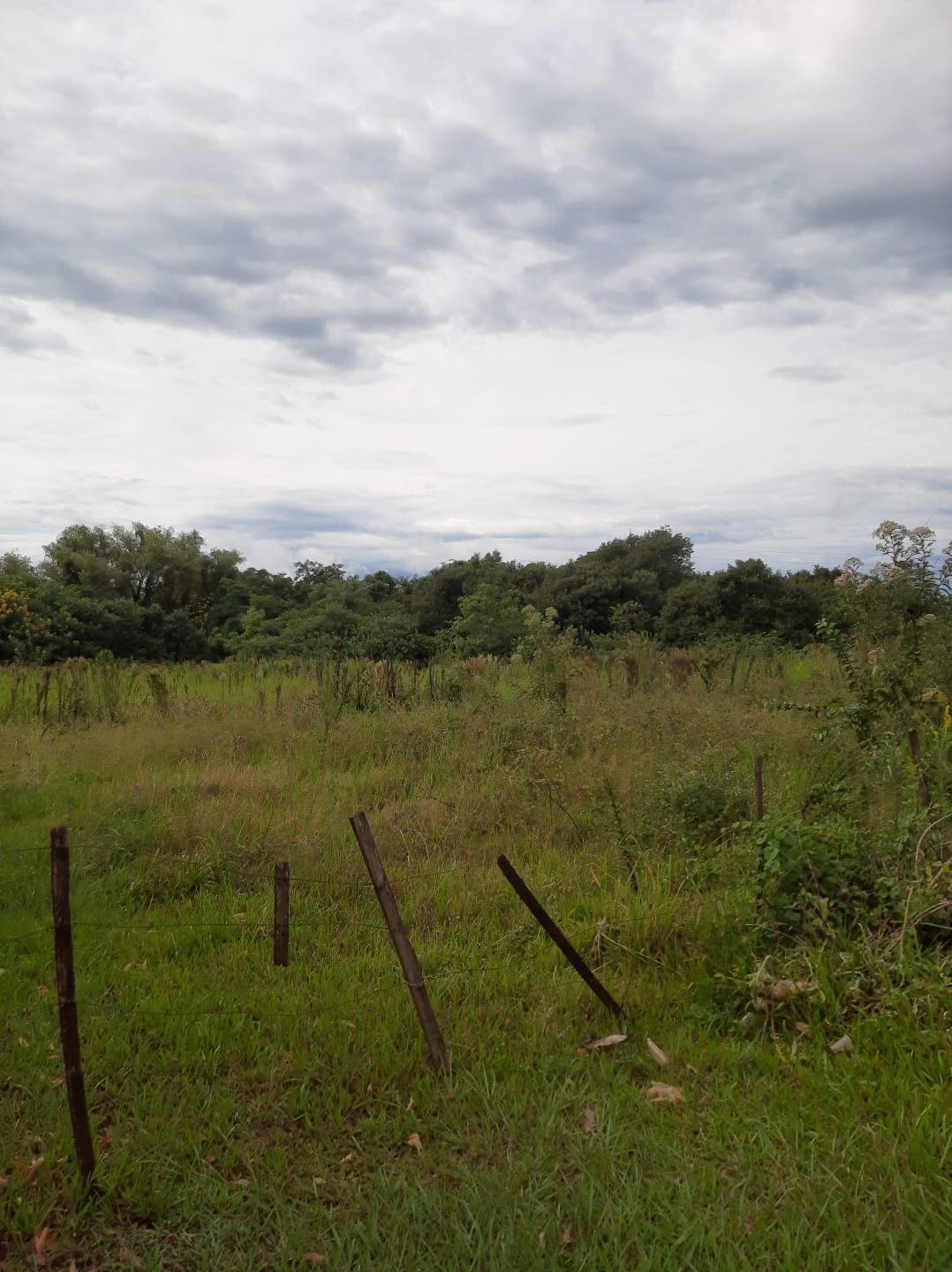 VENDO TERRENO EN JUAN LEON MALLORQUIN SOBRE RUTA INTERNACIONAL — foto 2