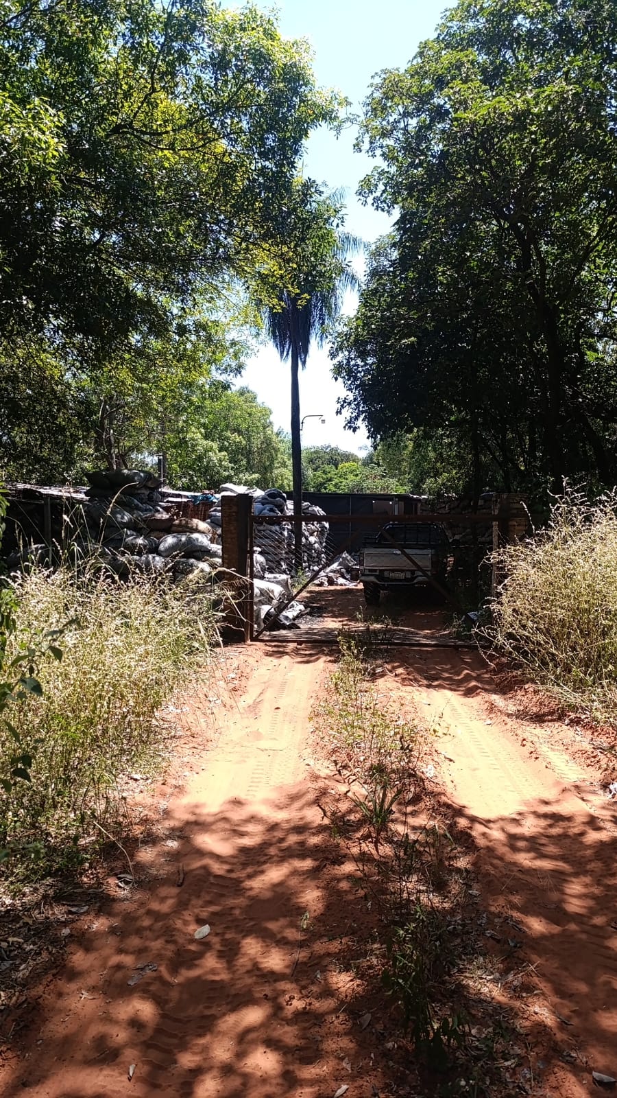 MÁS DE 1.27 HECTAREA EN LUQUE, MARIN KA'AGUY | IDEAL P/DESARROLLO, ZONA ALTA — foto 3