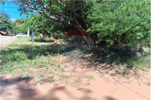 TERRENO EN VENTA, VILLA ELISA — foto 2