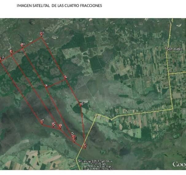 CAMPO AGRICOLA, GANADERO Y FORESTAL EN VENTA | 4.091 HECTÁREAS | SAN PEDRO, PY — foto 2