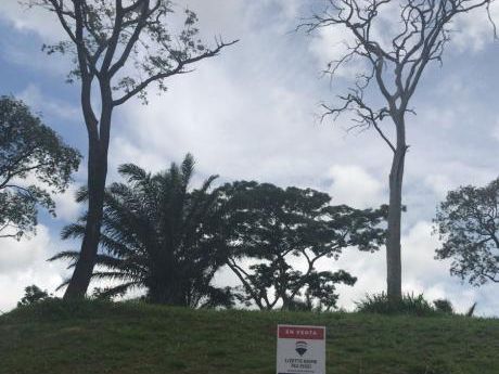 En Venta Terreno En El Urubo - Bella Flor