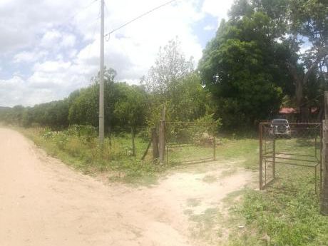 Propiedad De 36 Has. El Torno