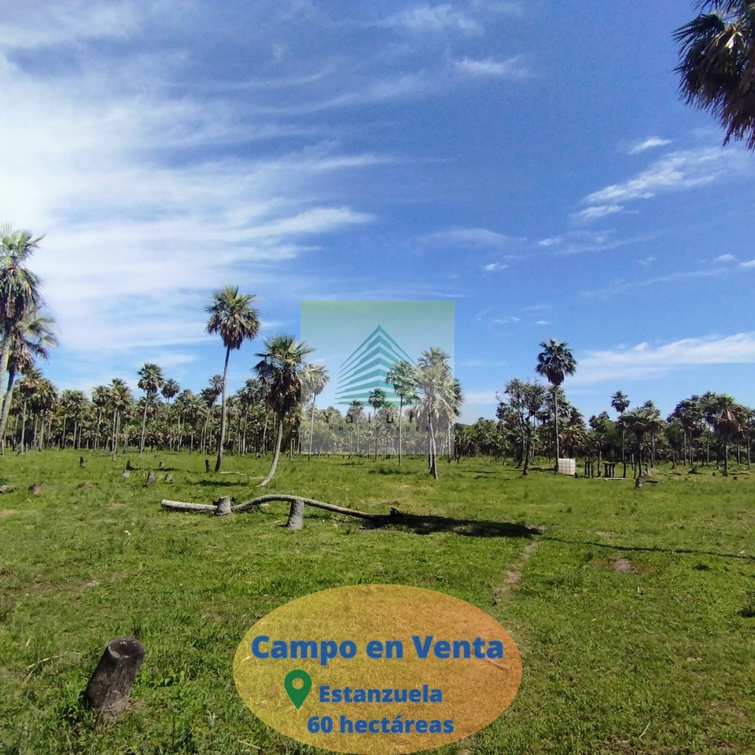 Campo en venta en Villa Oliva — foto 3