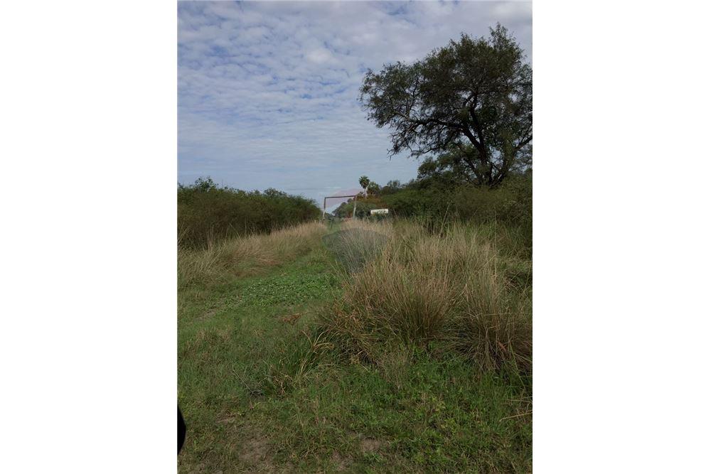 VENDO SOBRE RUTA 12 a 251 kms aprox, de Asunción — foto 2
