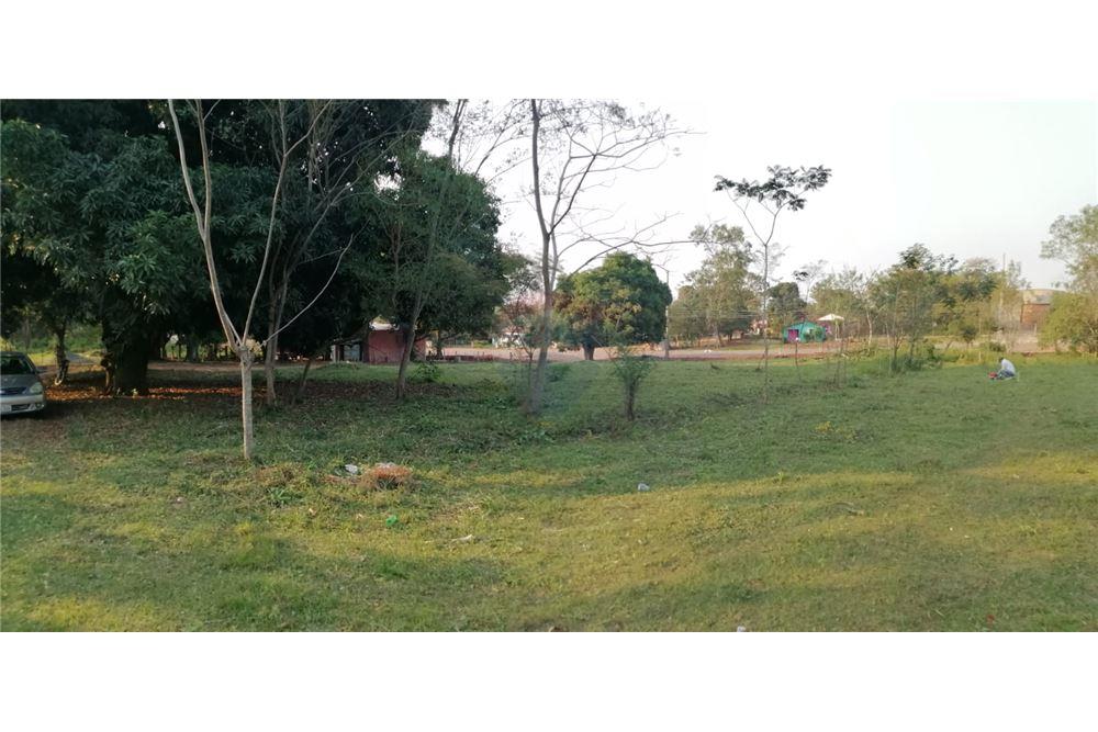 TERRENO EN EUSEBIO AYALA SOBRE RUTA 2 — foto 2