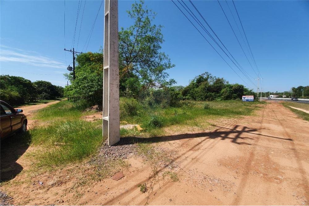 EN VENTA 8 HECTAREAS SOBRE RUTA 2 EN EUSEBIO AYALA — foto 3