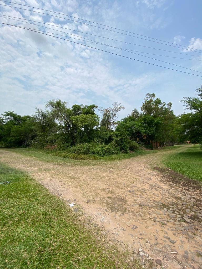VENDO AMPLIO TERRENO EN SAN BERNARDINO - SADI 1 — foto 2