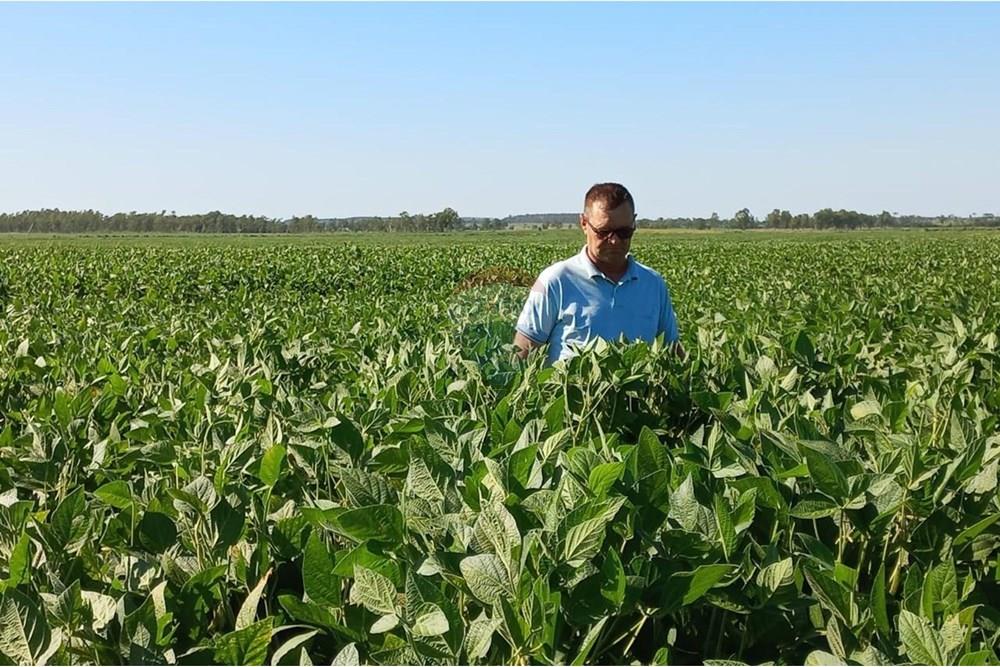 Estancia/Campo - Venta - San Pedro Del Paraná, Paraguay — foto 3