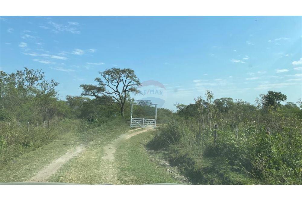 Estancia formada apta para desarrollo agro ganadero — foto 3