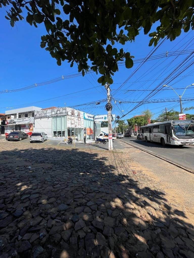 LOCAL COMERCIAL EN LAMBARE — foto 3