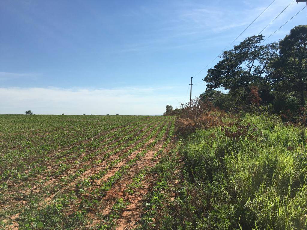 CAMPO EN VENTA | 15 HECTÁREAS CON GRAN POTENCIAL PRODUCTIVO EN ABAÍ, CAAZAPÁ — foto 3