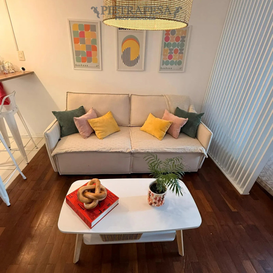 Apartamento en alquiler, monoambiente, 1 baño, patio, garaje. Punta Carretas. · Foto 2
