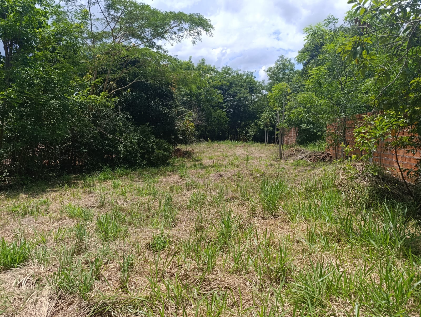 VENDO AMPLIO TERRENO EN MARIANO ROQUE ALONSO — foto 2