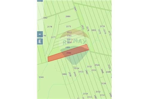 Vendo Terreno de 11 Hectáreas en Canindeyú, Distrito Villa Ygatymi!!! — foto 2