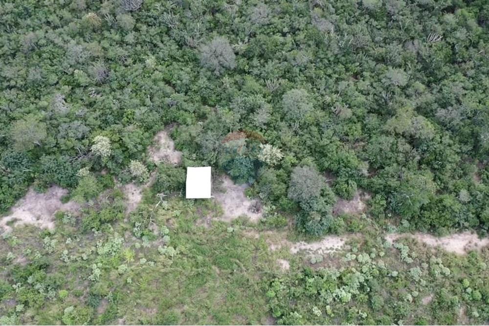Vendo Terreno de 14.086 Hectáreas en Bahía Negra — foto 3