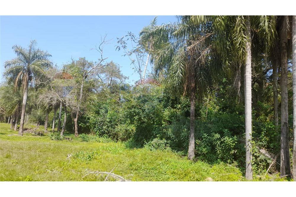 Terreno en Venta en San Bernardino — foto 3