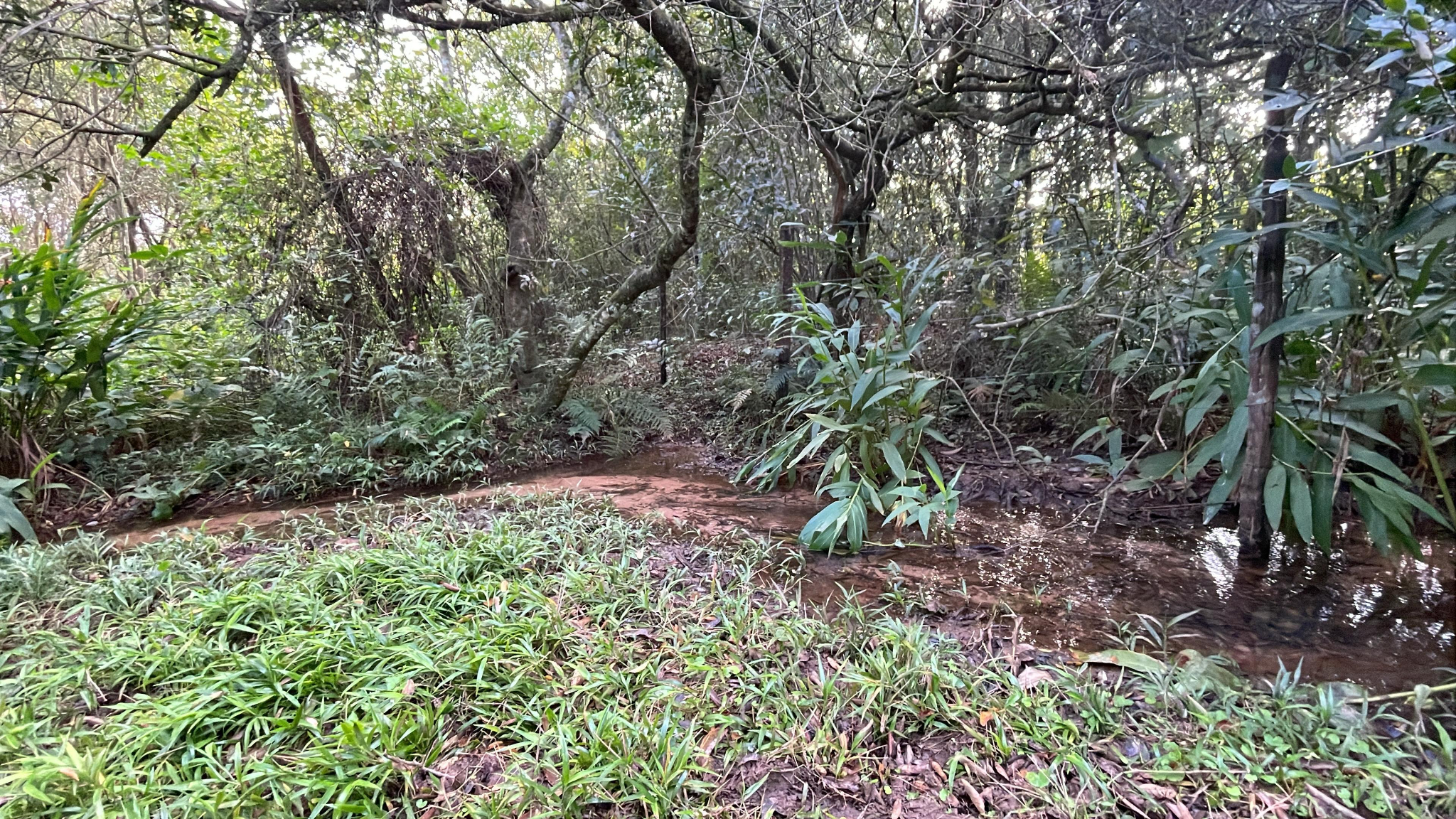 2 hectáreas con arroyito y vistas en Eusebio Ayala A 3 km de Ruta 2 — foto 2